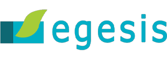 Egesis